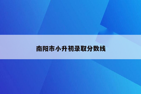 南阳市小升初录取分数线