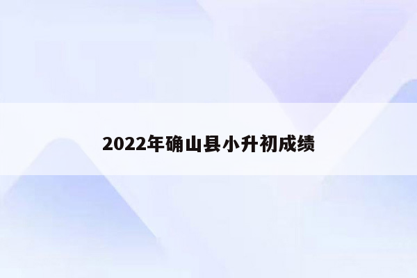 2022年确山县小升初成绩