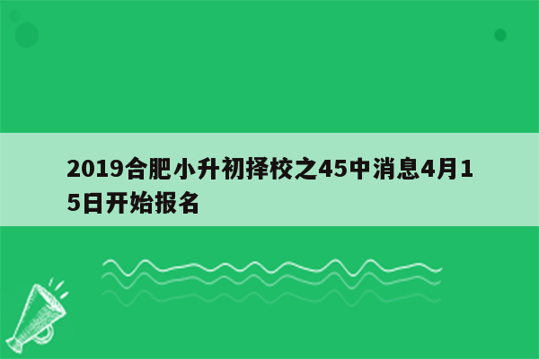 2019合肥小升初择校之45中消息4月15日开始报名