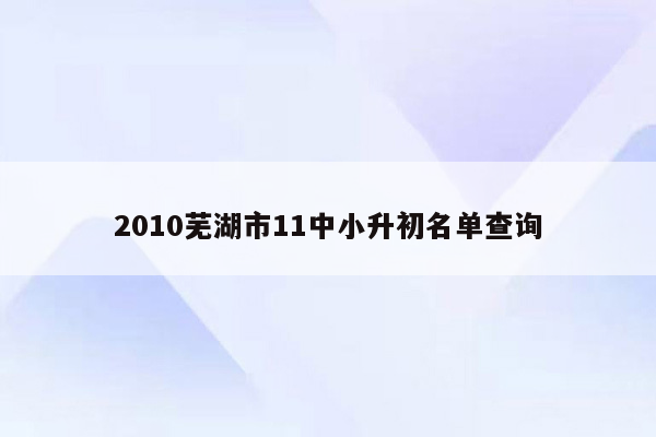 2010芜湖市11中小升初名单查询