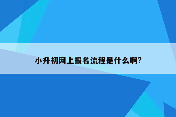 小升初网上报名流程是什么啊?