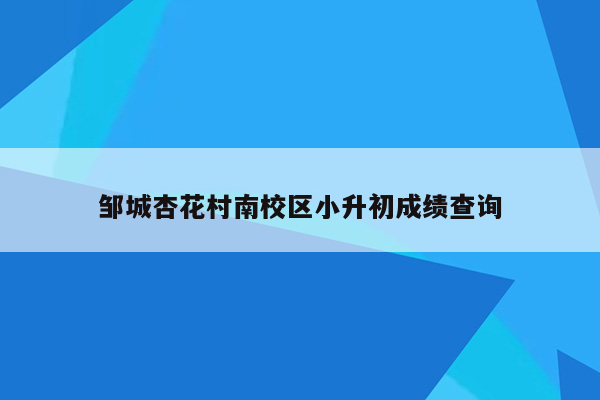 邹城杏花村南校区小升初成绩查询