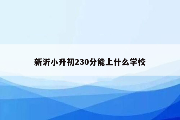 新沂小升初230分能上什么学校