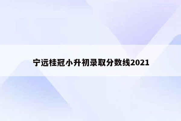 宁远桂冠小升初录取分数线2021