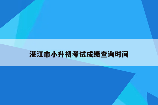 湛江市小升初考试成绩查询时间