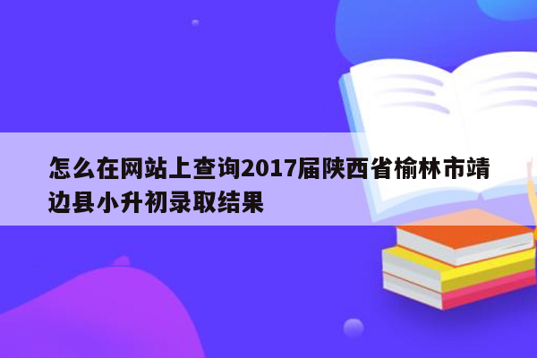 怎么在网站上查询2017届陕西省榆林市靖边县小升初录取结果