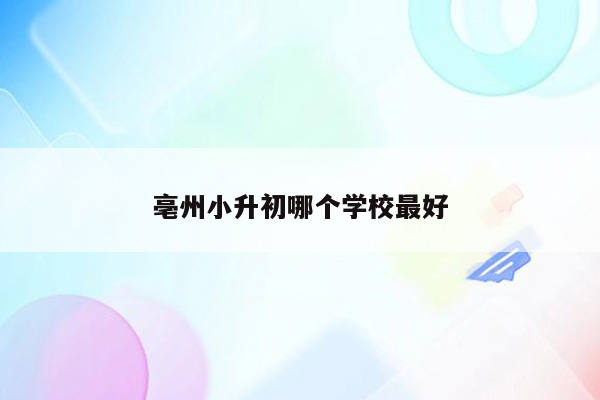 亳州小升初哪个学校最好