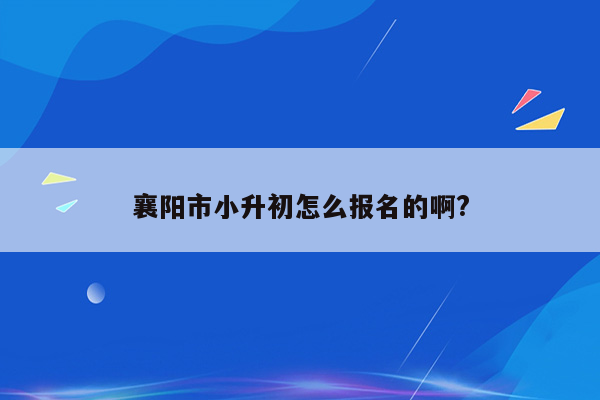 襄阳市小升初怎么报名的啊?