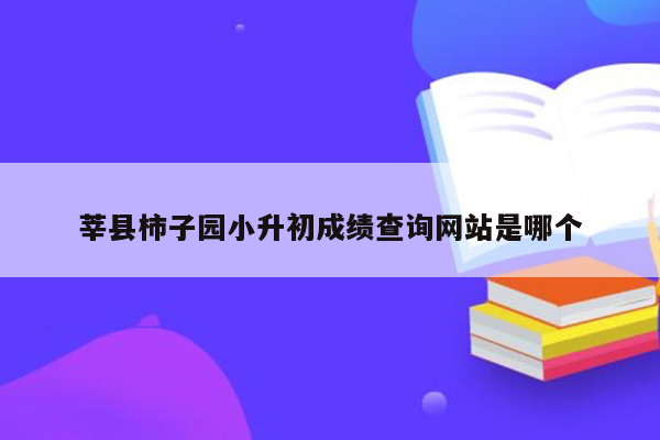 莘县柿子园小升初成绩查询网站是哪个