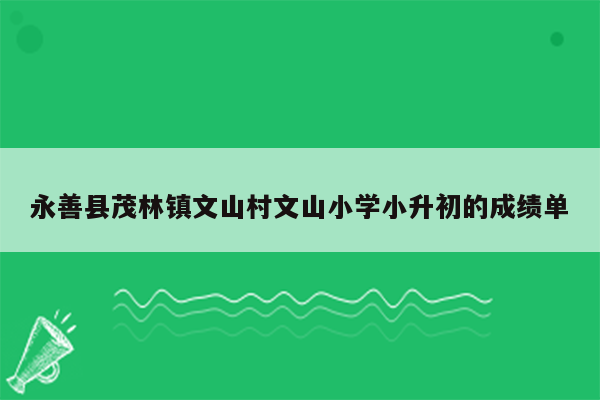 永善县茂林镇文山村文山小学小升初的成绩单