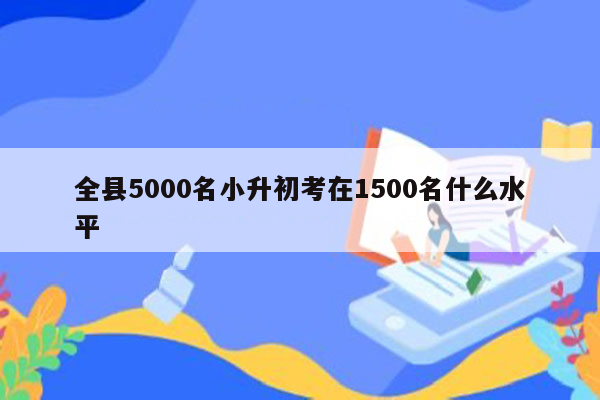 全县5000名小升初考在1500名什么水平