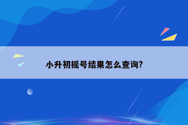 小升初摇号结果怎么查询?