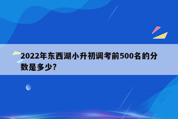 2022年东西湖小升初调考前500名的分数是多少?