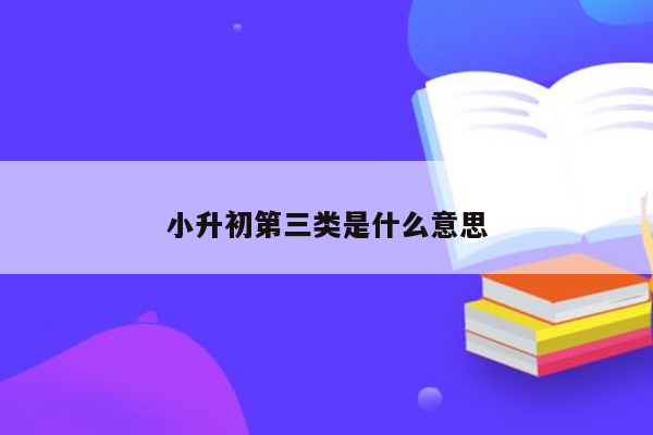 小升初第三类是什么意思