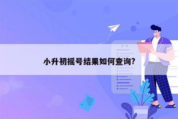 小升初摇号结果如何查询?