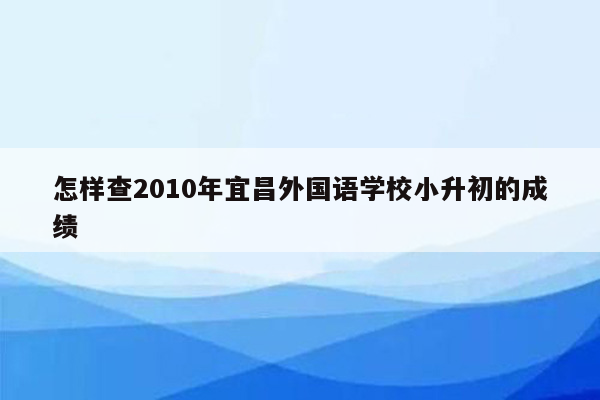 怎样查2010年宜昌外国语学校小升初的成绩