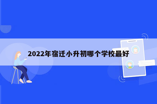 2022年宿迁小升初哪个学校最好