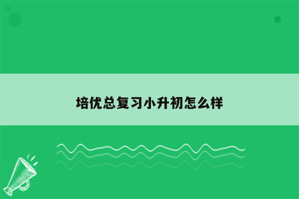 培优总复习小升初怎么样