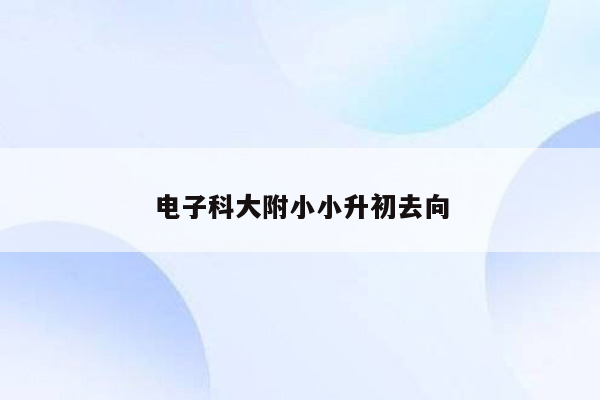 电子科大附小小升初去向