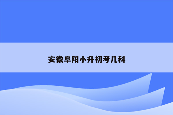 安徽阜阳小升初考几科