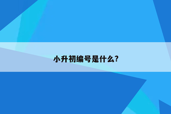 小升初编号是什么?