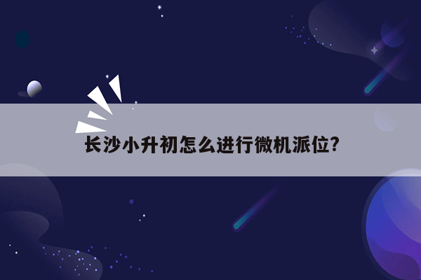 长沙小升初怎么进行微机派位?