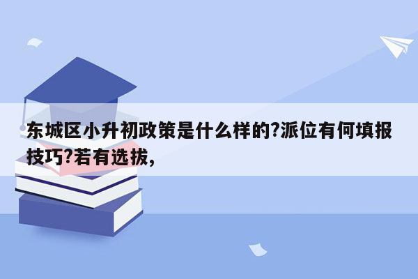 东城区小升初政策是什么样的?派位有何填报技巧?若有选拔,