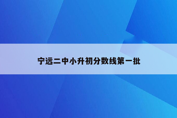 宁远二中小升初分数线第一批