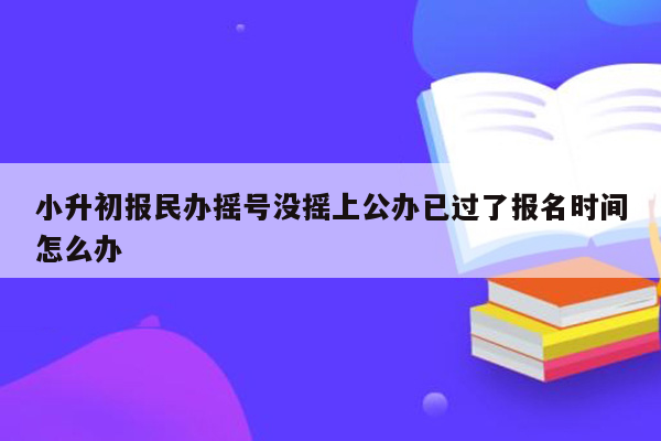 小升初报民办摇号没摇上公办已过了报名时间怎么办