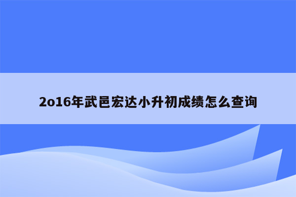 2o16年武邑宏达小升初成绩怎么查询