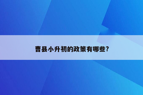 曹县小升初的政策有哪些?