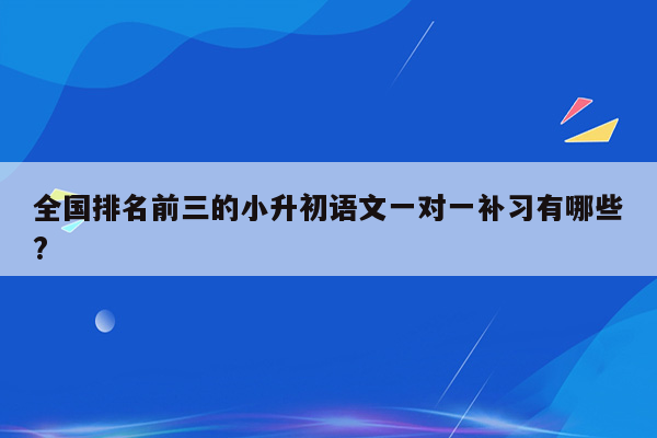 全国排名前三的小升初语文一对一补习有哪些?