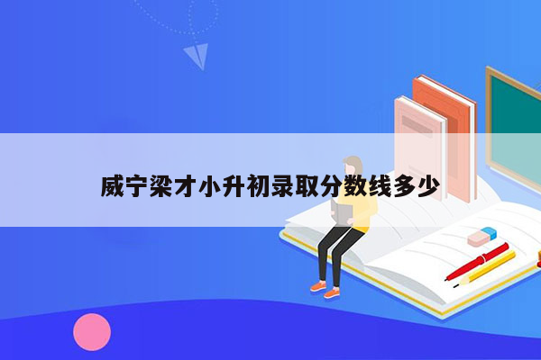 威宁梁才小升初录取分数线多少