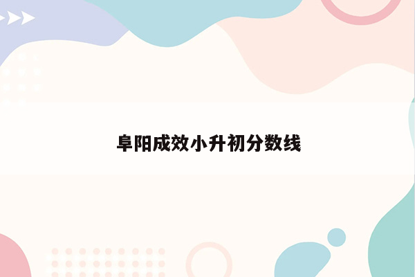 阜阳成效小升初分数线