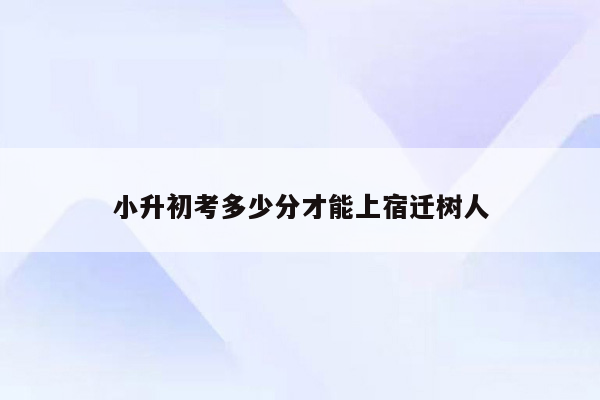 小升初考多少分才能上宿迁树人