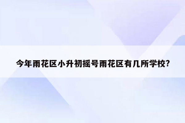 今年雨花区小升初摇号雨花区有几所学校?