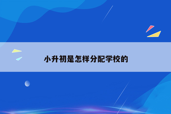 小升初是怎样分配学校的