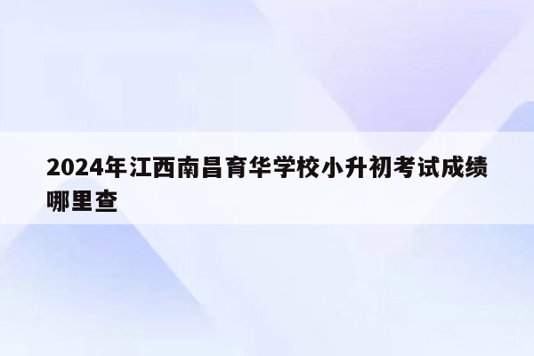 2024年江西南昌育华学校小升初考试成绩哪里查