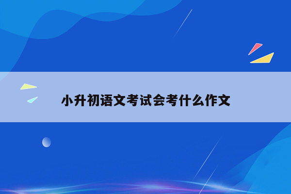 小升初语文考试会考什么作文