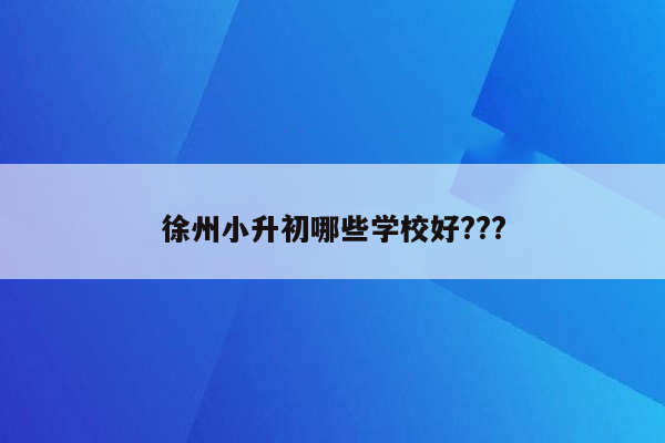 徐州小升初哪些学校好???