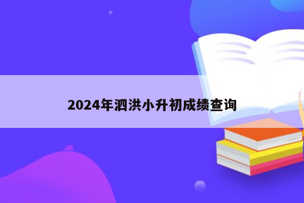 2024年泗洪小升初成绩查询