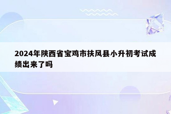 2024年陕西省宝鸡市扶风县小升初考试成绩出来了吗