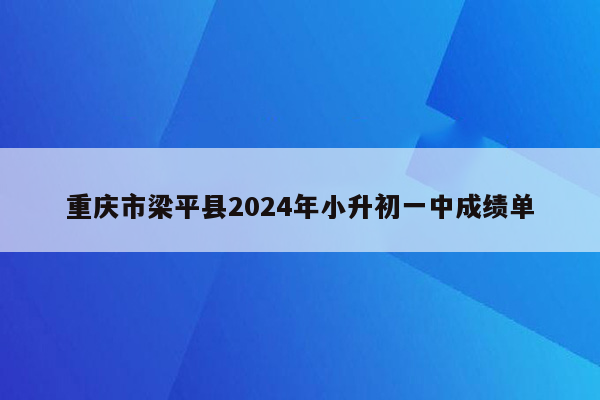 重庆市梁平县2024年小升初一中成绩单