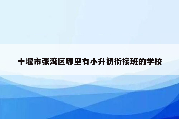 十堰市张湾区哪里有小升初衔接班的学校