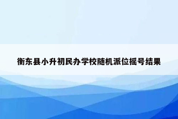 衡东县小升初民办学校随机派位摇号结果