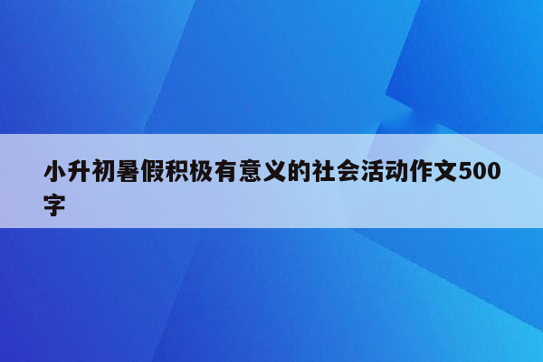 小升初暑假积极有意义的社会活动作文500字