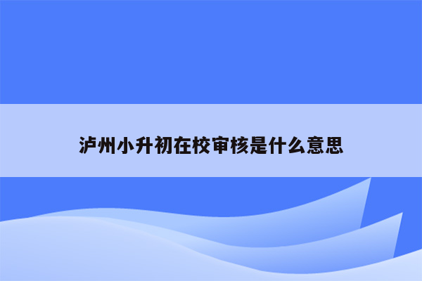 泸州小升初在校审核是什么意思