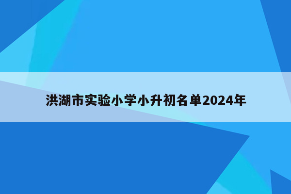 洪湖市实验小学小升初名单2024年