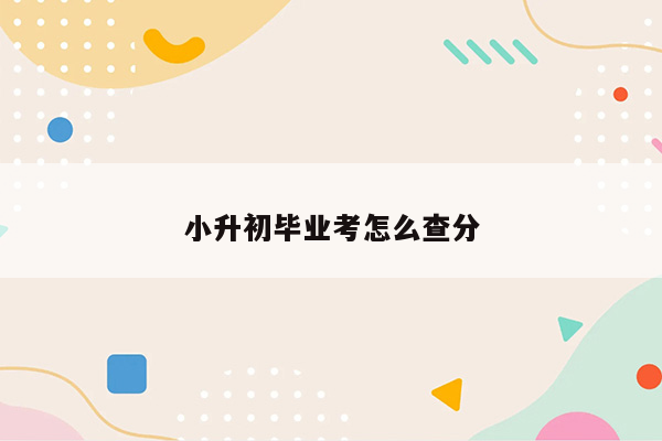 小升初毕业考怎么查分