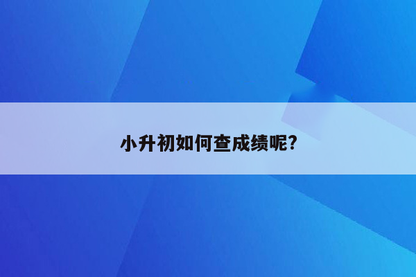 小升初如何查成绩呢?